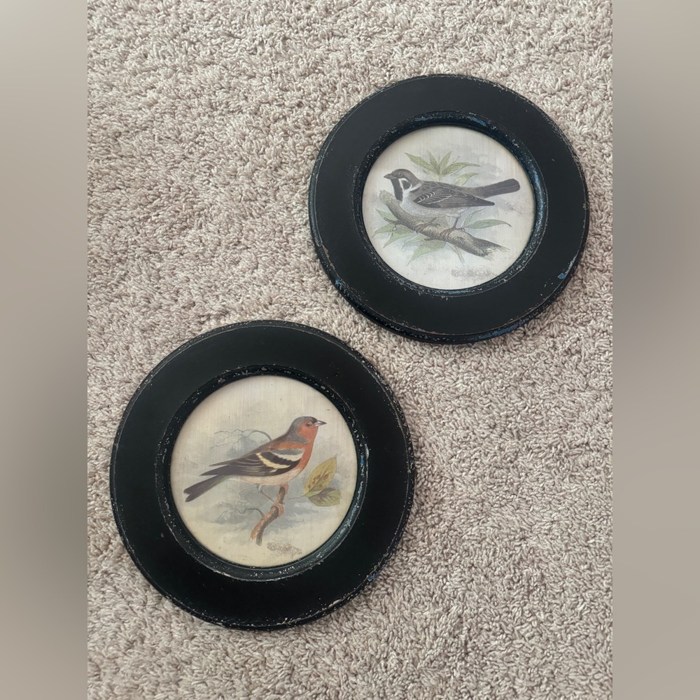 Set Vintage Bird Prints in Round Distressed Black Frames Cottagecore Farmhouse